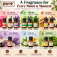 Pure Source India 12-in-1 Aroma Oil Set – 10 ml Each | 12 Fragrance Oils for Diffusers, Aroma Burners, Potpourri & Home Fragrance | Lemon Grass, Lavender, Jasmine, Rose, Citronella & More | 120 ml Total