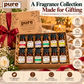 Pure Source India 12-in-1 Aroma Oil Set – 10 ml Each | 12 Fragrance Oils for Diffusers, Aroma Burners, Potpourri & Home Fragrance | Lemon Grass, Lavender, Jasmine, Rose, Citronella & More | 120 ml Total